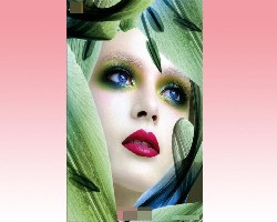 ��(j��)�ϝɽ����r�������l(f��)�W(xu��)У