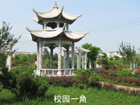 泰安海星電腦學(xué)校