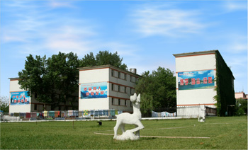 ɽ�|ú̿�l(w��i)���W(xu��)У2017�괺����������