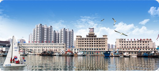 ���u���󼼎�