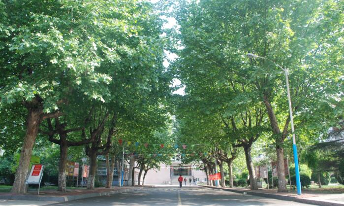 ɽ�|ұ�𼼎��W(xu��)Ժ �W(xu��)ǰ�����W(xu��)Ժ 2018��������(ji��n)��