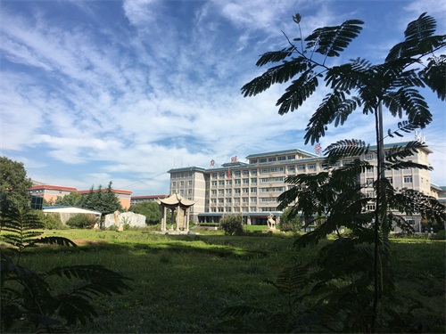 ɽ�|���������WУ������ɫ���I(y��)����Щ��