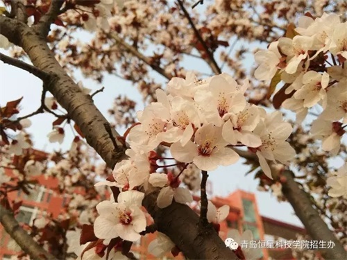 ���u���ǿƼ��W(xu��)Ժ2019��ڶ��ΆΪ�(d��)���� ��(b��o)���֪��