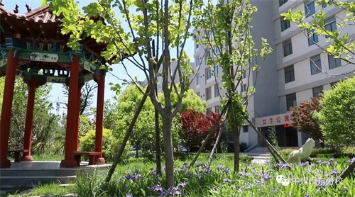 �Ї�ú�V�Ĺ��F(tu��n)ˇ�g(sh��)�W(xu��)У���H���й��I(y��)�W(xu��)У�������I(y��) 2019�������_ʼ����