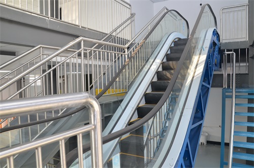 ���u��ʯ���߼�(j��)�����W(xu��)У2020����������