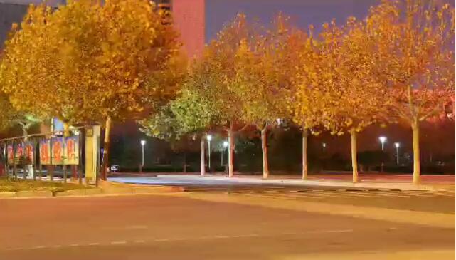 �I�ݼ��g(sh��)�W(xu��)Ժ������Щ���I(y��)�����I(y��)�������W(xu��)����