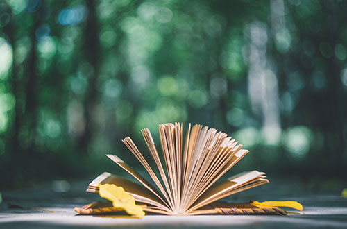 �R������W(xu��)У�܈�(b��o)����Щ�^�m(x��)�����W(xu��)У��