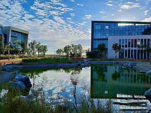 �H���r(sh��)�������W(xu��)У��ʲô��(y��u)��(sh��)��