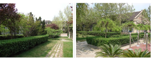 ��������ɭ�����W�����V����