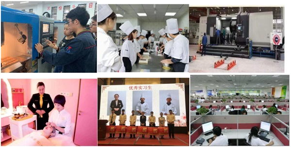 ��������ɭ�����W(xu��)У��ô�ӣ��W(xu��)����������Щ������