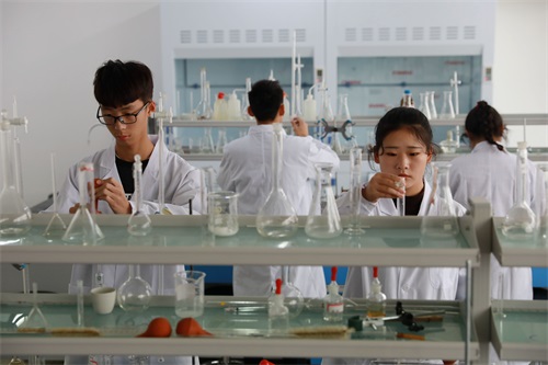 ��(j��)���м����W(xu��)Ժ�_�O(sh��)����Щ�t(y��)ˎ���P(gu��n)���I(y��)��